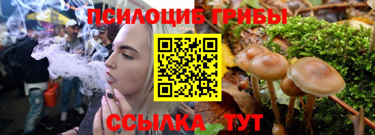 Галлюциногенные грибы мухоморы Новодвинск