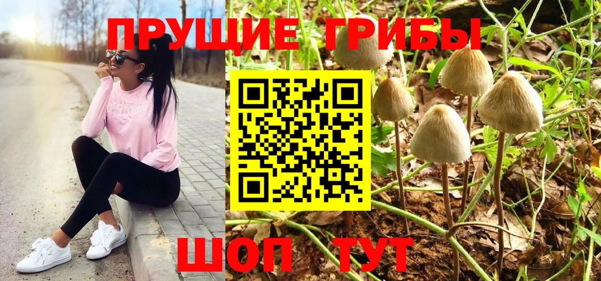 Галлюциногенные грибы мицелий  Вход с VPN  Новодвинск 